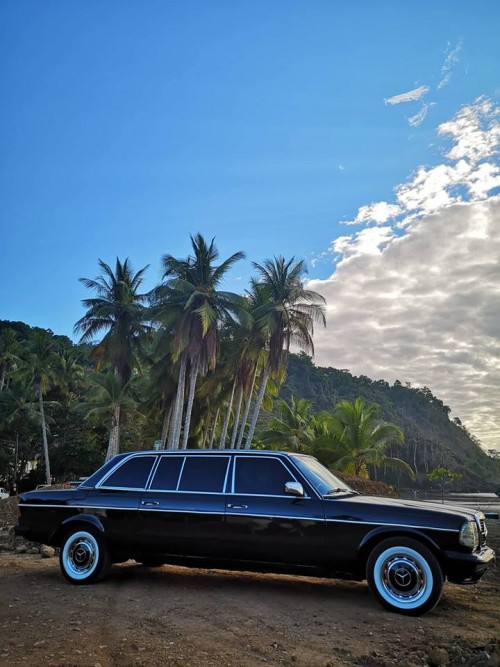 JACO-BEACH-PALM-TREE-LIMOUSINE-COSTA-RICA.jpg