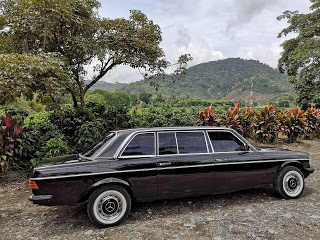 COSTA-RICA-COFFEE-PLANTATION.-MERCEDES-W123-LANG-TOURS.jpg